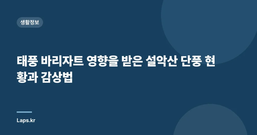 태풍 바리자트 영향을 받은 설악산 단풍 현황과 감상법