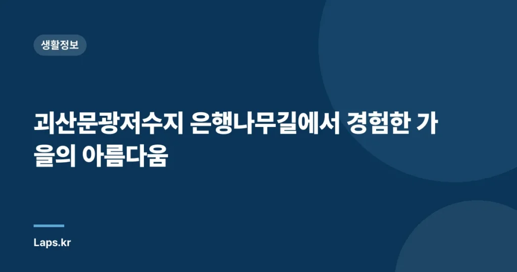 괴산문광저수지 은행나무길에서 경험한 가을의 아름다움