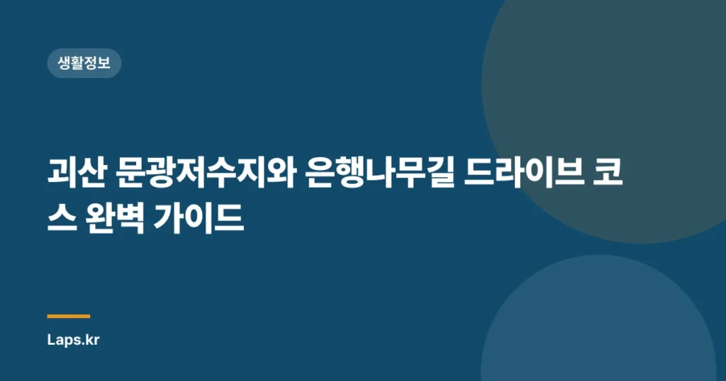 괴산 문광저수지와 은행나무길 드라이브 코스 완벽 가이드
