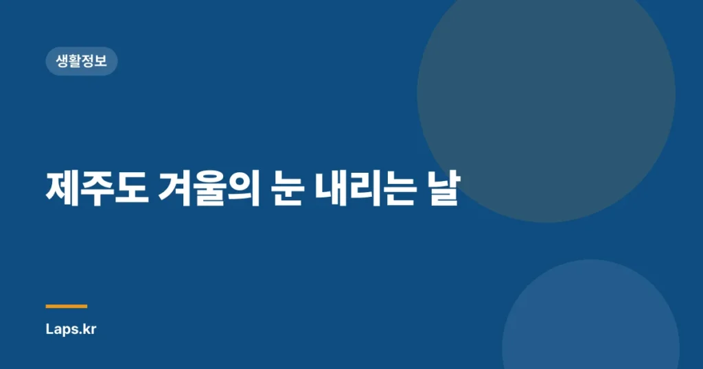 제주도 겨울의 눈 내리는 날