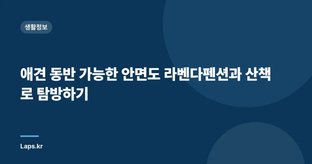 애견 동반 가능한 안면도 라벤다펜션과 산책로 탐방하기