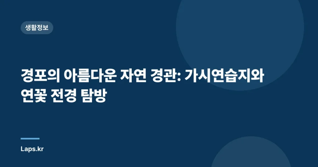 경포의 아름다운 자연 경관: 가시연습지와 연꽃 전경 탐방