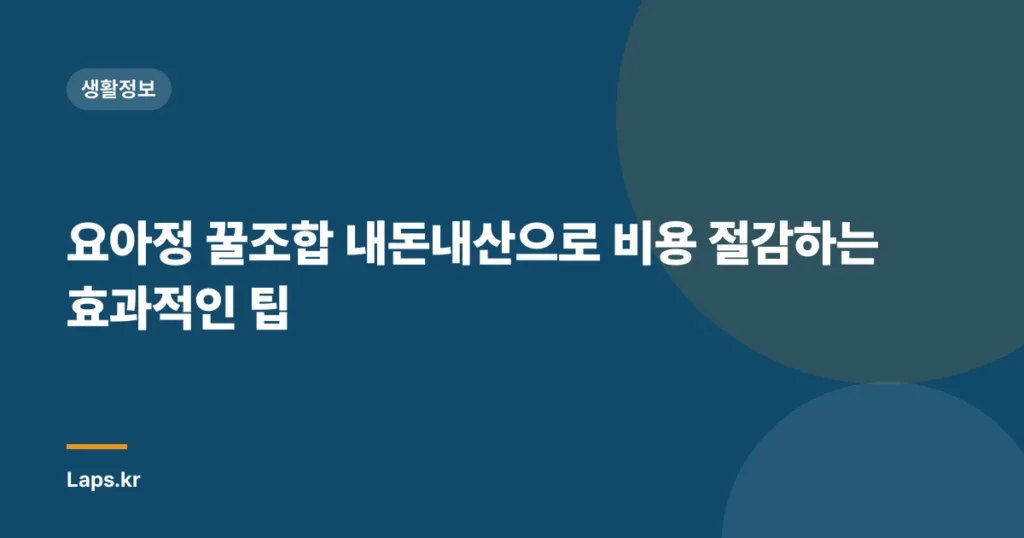 요아정 꿀조합 내돈내산으로 비용 절감하는 효과적인 팁