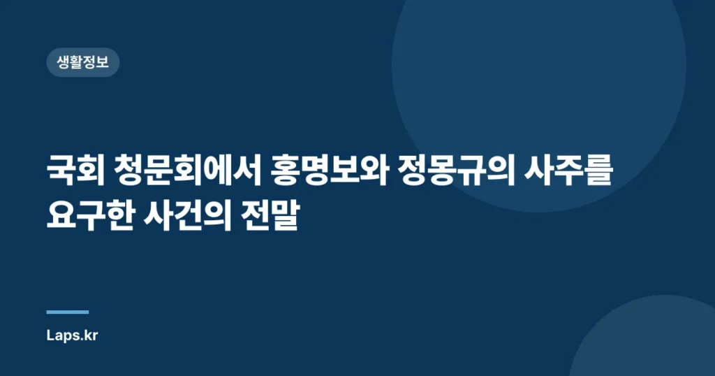 국회 청문회에서 홍명보와 정몽규의 사주를 요구한 사건의 전말
