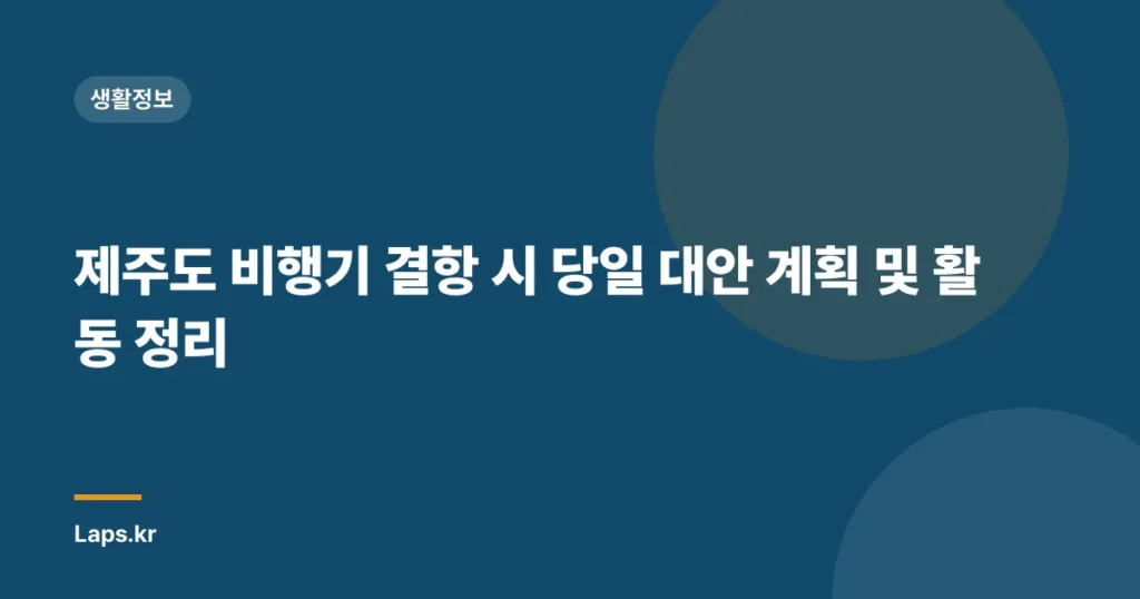 제주도 비행기 결항 시 당일 대안 계획 및 활동 정리