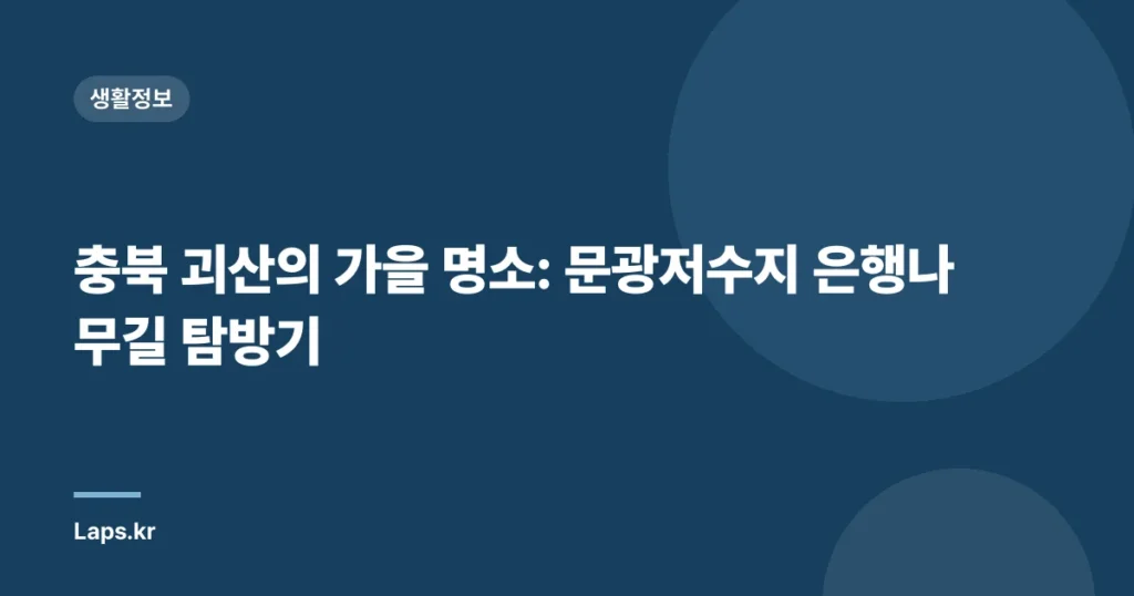 충북 괴산의 가을 명소: 문광저수지 은행나무길 탐방기