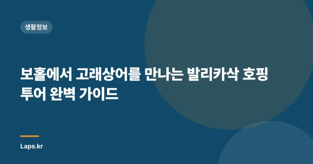 보홀에서 고래상어를 만나는 발리카삭 호핑 투어 완벽 가이드