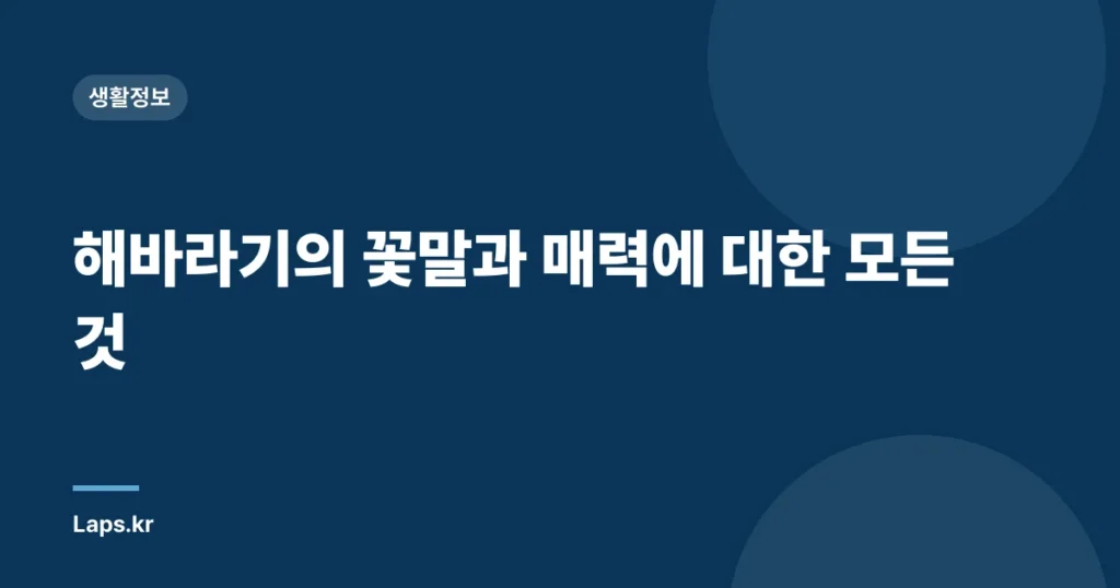 해바라기의 꽃말과 매력에 대한 모든 것