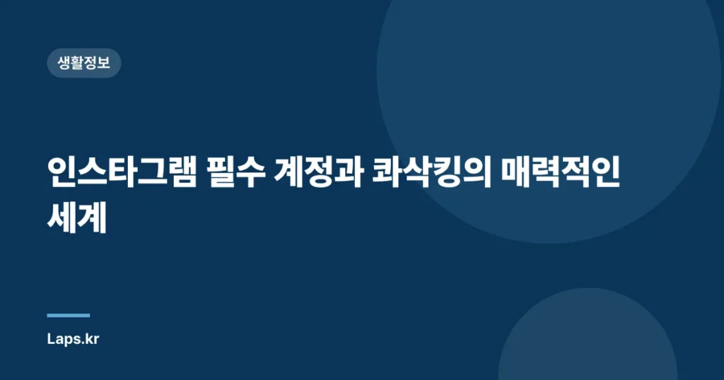 인스타그램 필수 계정과 콰삭킹의 매력적인 세계