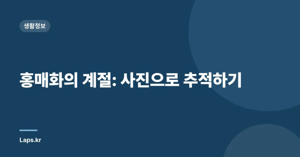 홍매화의 계절: 사진으로 추적하기