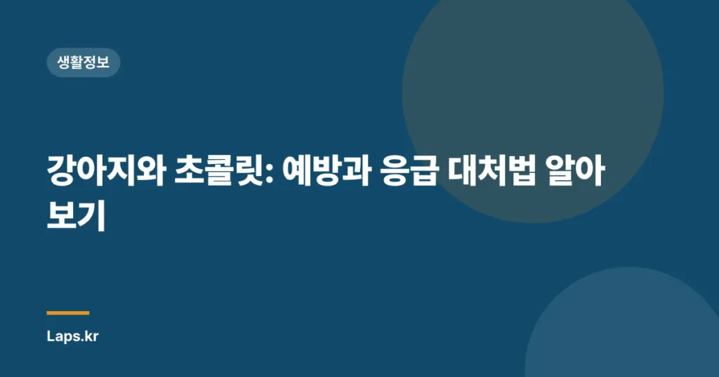 강아지와 초콜릿: 예방과 응급 대처법 알아보기