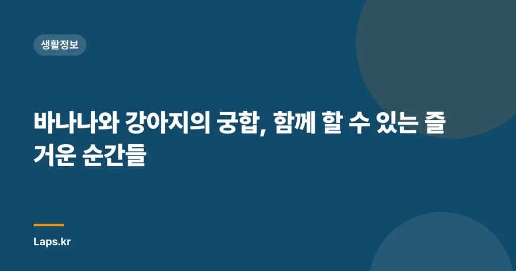 바나나와 강아지의 궁합, 함께 할 수 있는 즐거운 순간들