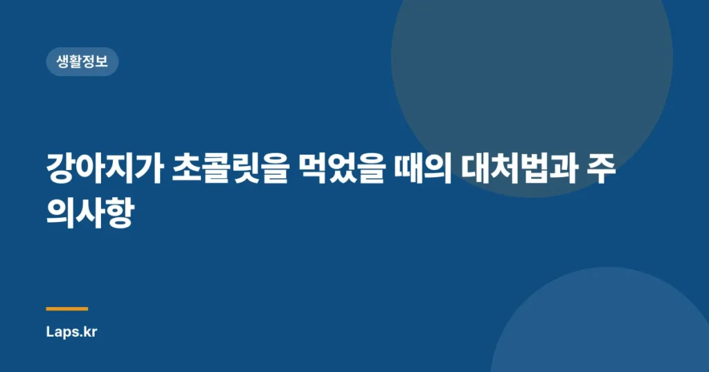 강아지가 초콜릿을 먹었을 때의 대처법과 주의사항
