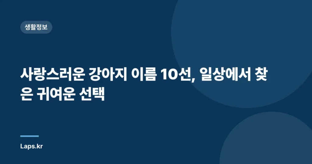 사랑스러운 강아지 이름 10선, 일상에서 찾은 귀여운 선택