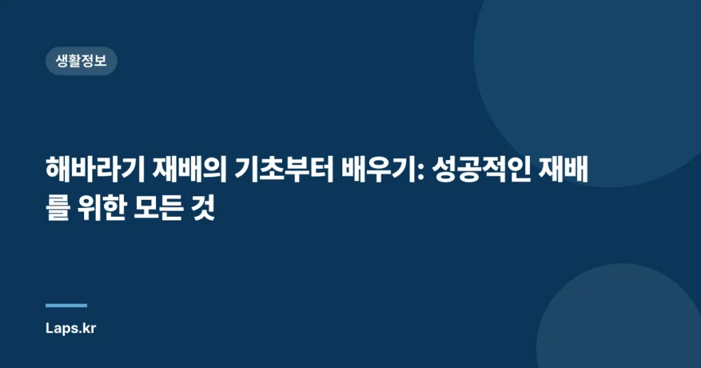 해바라기 재배의 기초부터 배우기: 성공적인 재배를 위한 모든 것