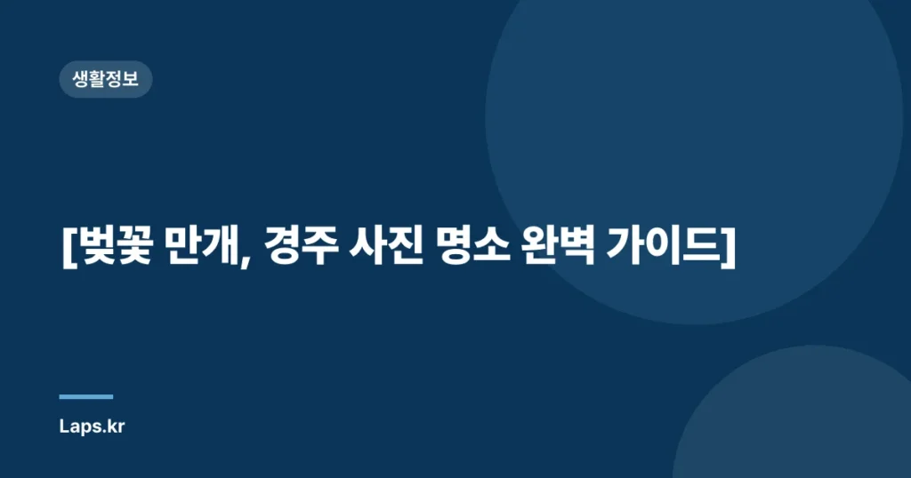 [벚꽃 만개, 경주 사진 명소 완벽 가이드]