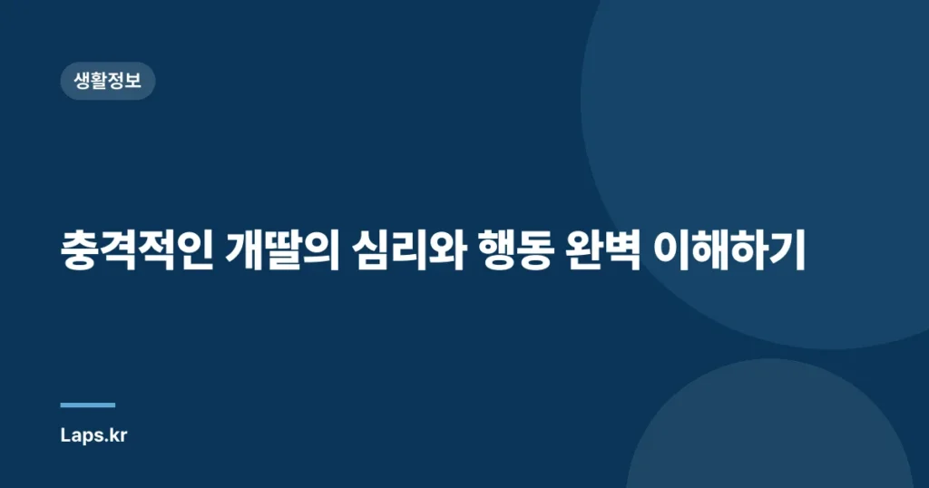 충격적인 개딸의 심리와 행동 완벽 이해하기
