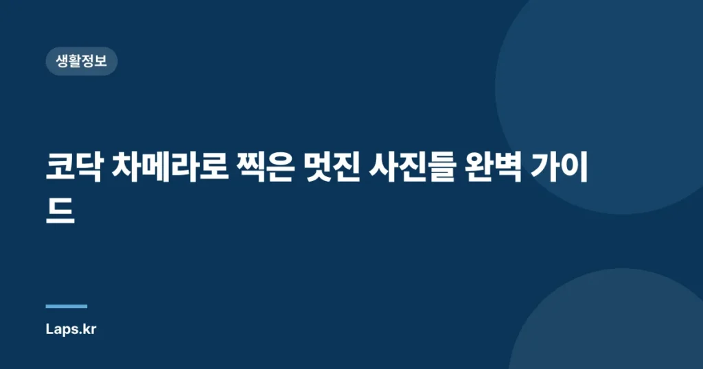 코닥 차메라로 찍은 멋진 사진들 완벽 가이드