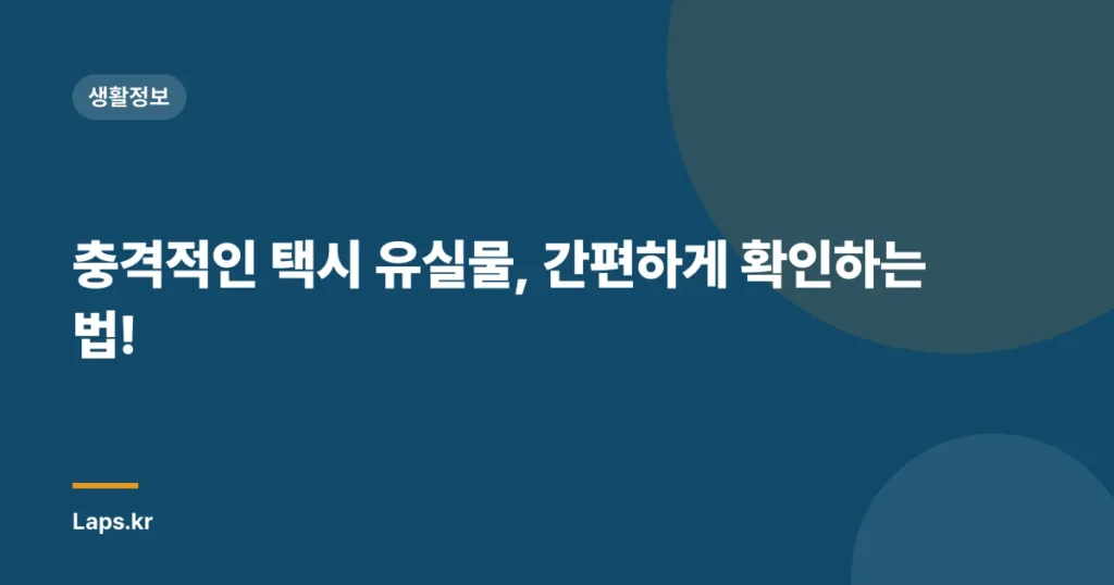 충격적인 택시 유실물, 간편하게 확인하는 법!