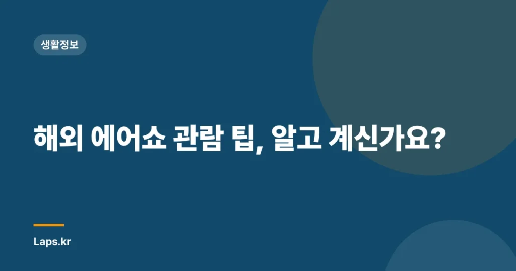 해외 에어쇼 관람 팁, 알고 계신가요?