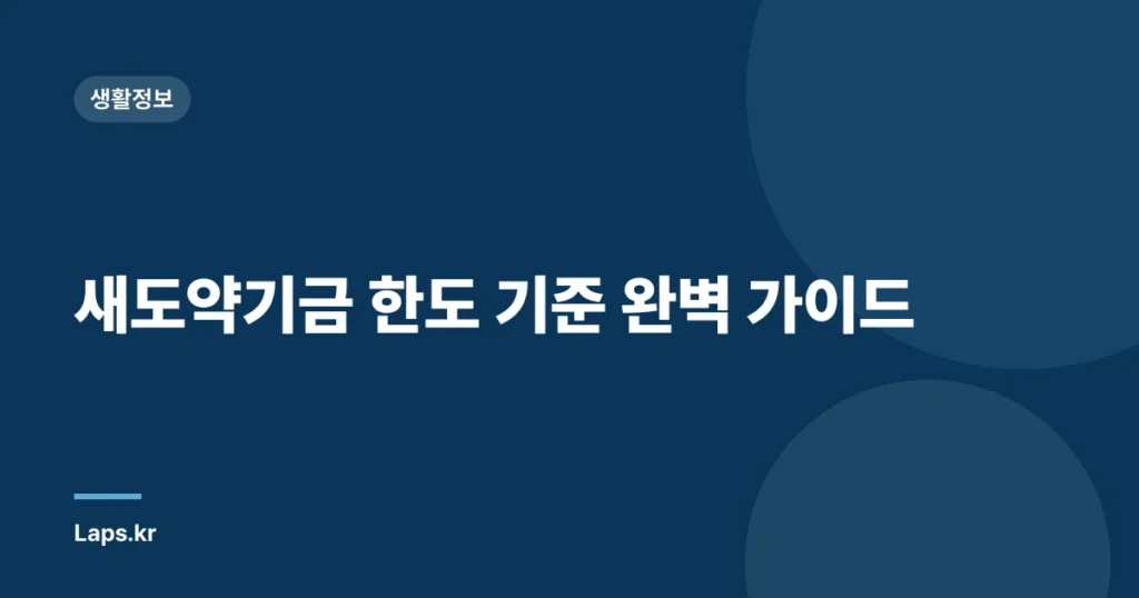 새도약기금 한도 기준 완벽 가이드