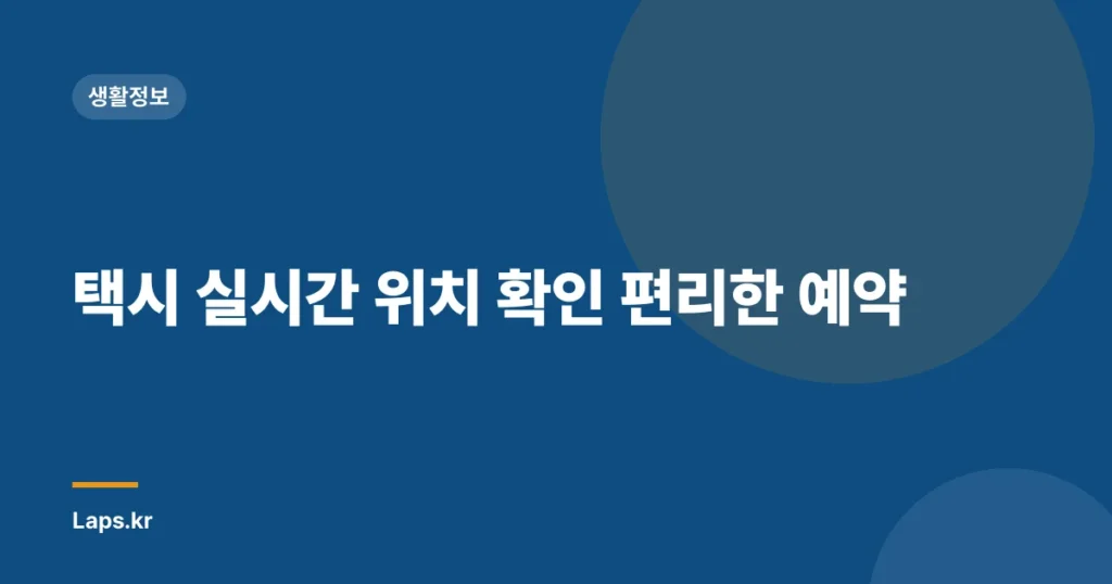 택시 실시간 위치 확인 편리한 예약