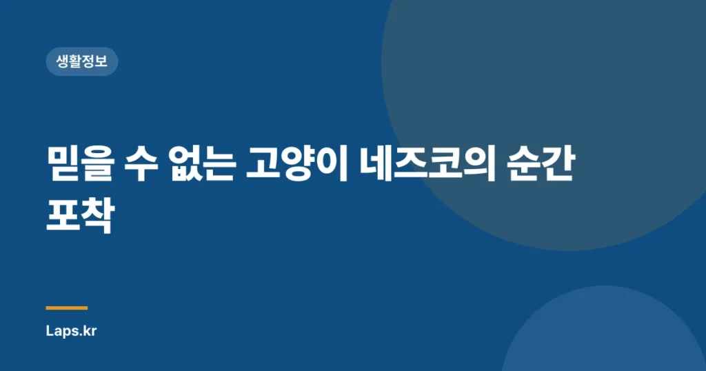 믿을 수 없는 고양이 네즈코의 순간 포착