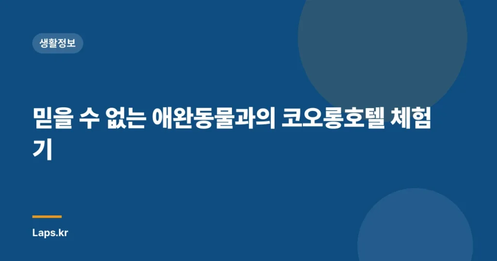 믿을 수 없는 애완동물과의 코오롱호텔 체험기