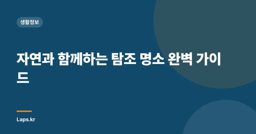 자연과 함께하는 탐조 명소 완벽 가이드