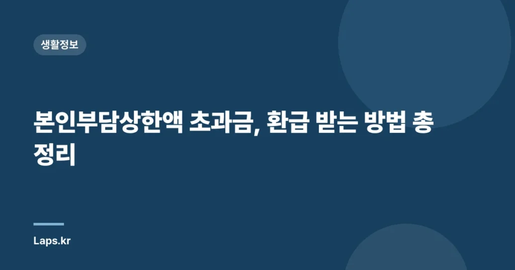 본인부담상한액 초과금, 환급 받는 방법 총정리