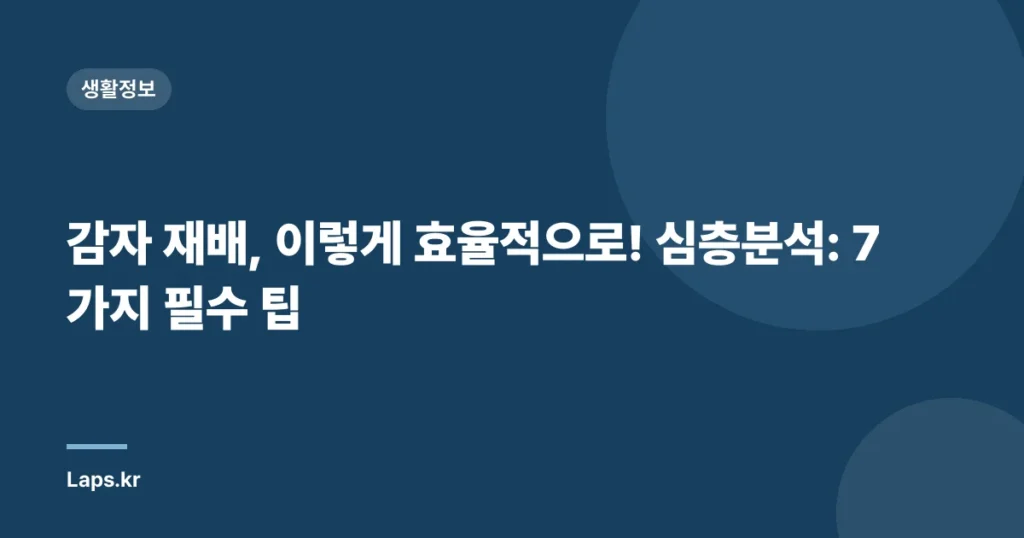 감자 재배, 이렇게 효율적으로! 심층분석: 7가지 필수 팁