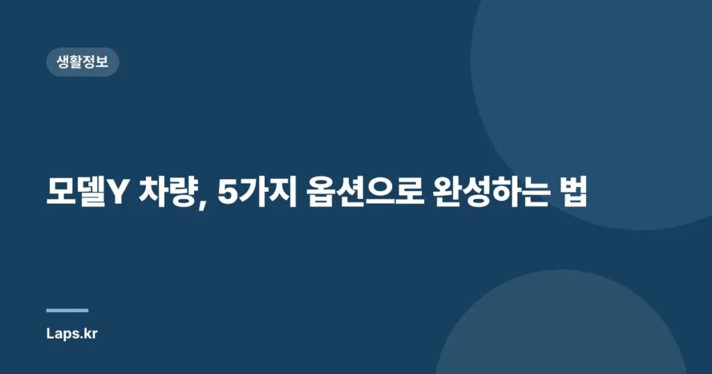 모델Y 차량, 5가지 옵션으로 완성하는 법