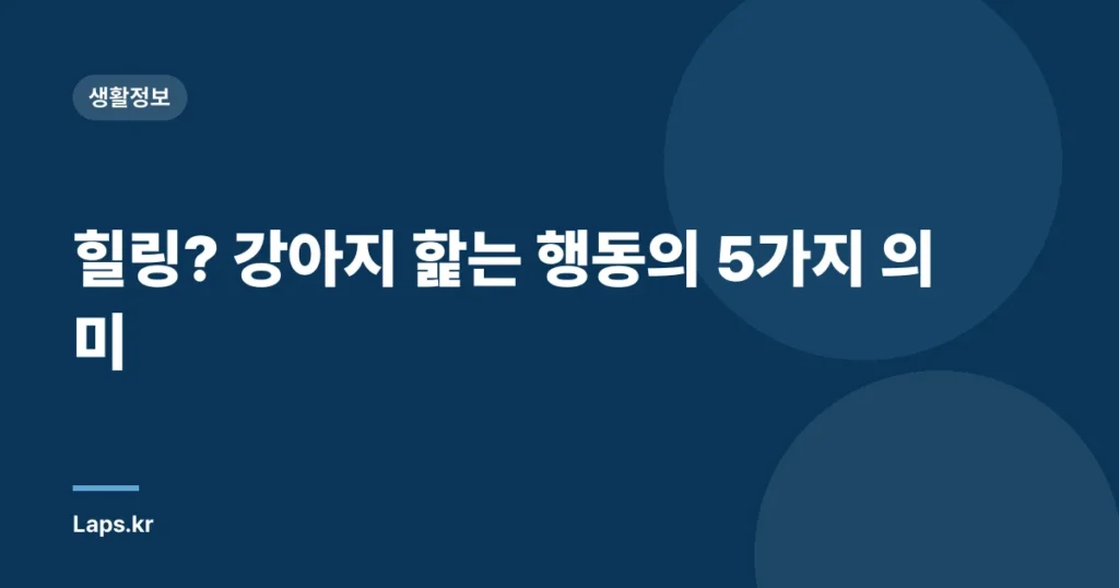 힐링? 강아지 핥는 행동의 5가지 의미