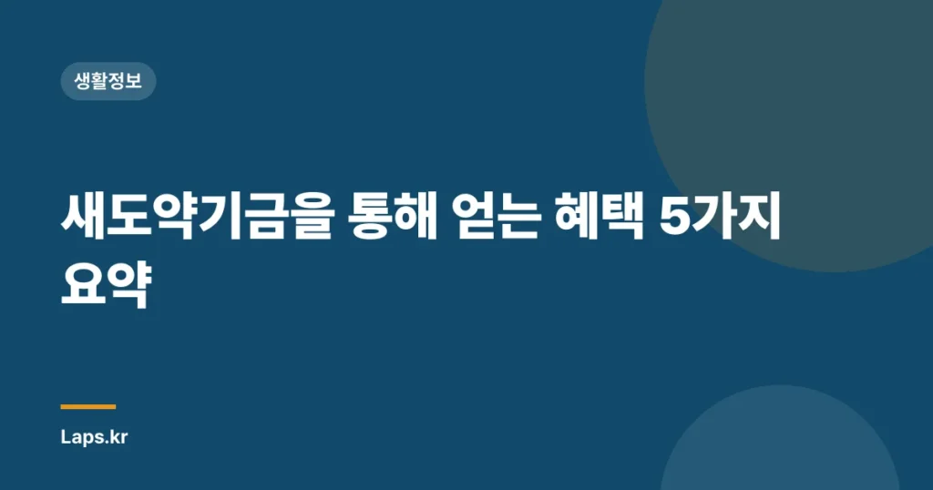 새도약기금을 통해 얻는 혜택 5가지 요약
