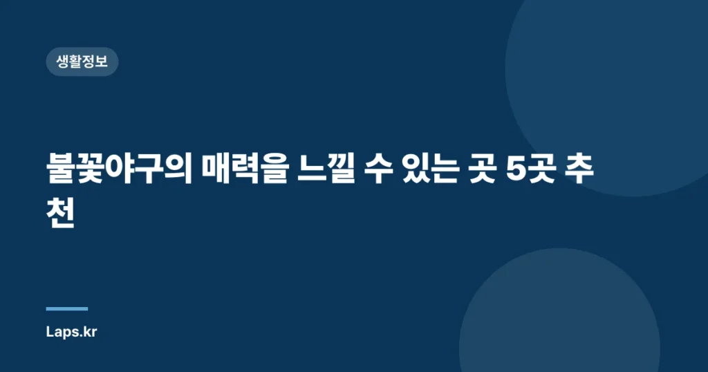 불꽃야구의 매력을 느낄 수 있는 곳 5곳 추천