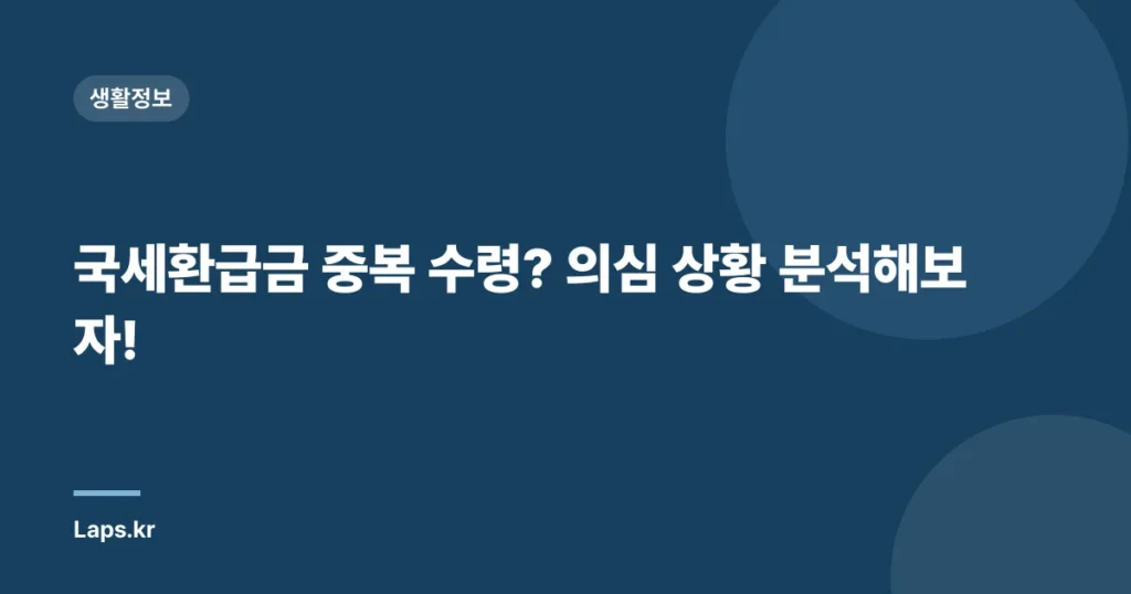 국세환급금 중복 수령? 의심 상황 분석해보자!