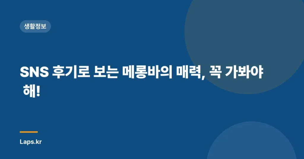 SNS 후기로 보는 메롱바의 매력, 꼭 가봐야 해!