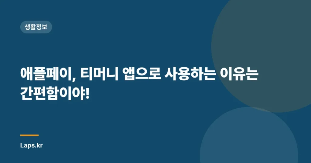 애플페이, 티머니 앱으로 사용하는 이유는 간편함이야!