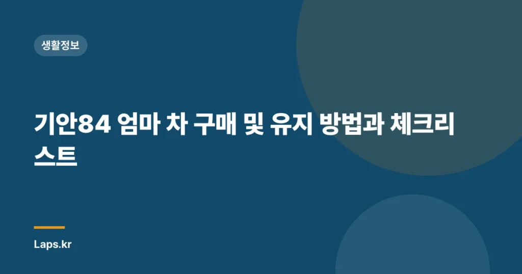 기안84 엄마 차 구매 및 유지 방법과 체크리스트