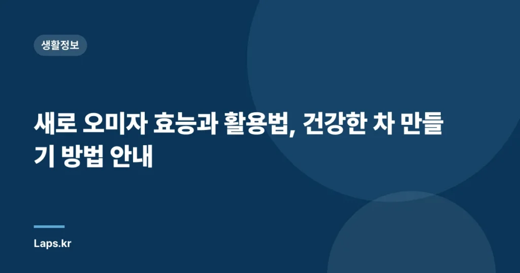 새로 오미자 효능과 활용법, 건강한 차 만들기 방법 안내