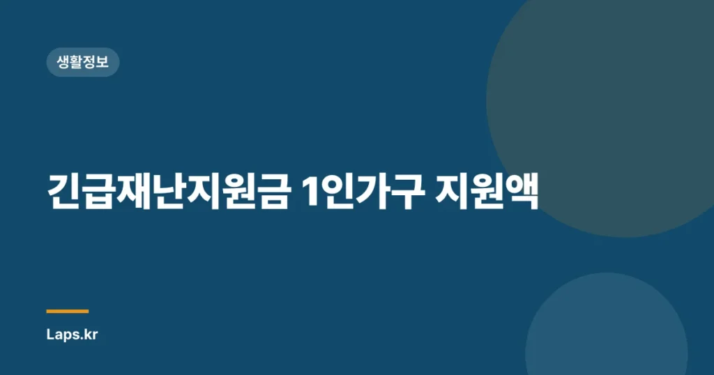 긴급재난지원금 1인가구 지원액