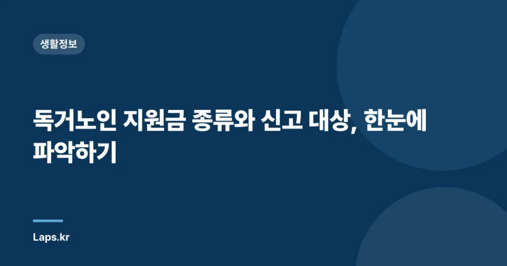 독거노인 지원금 종류와 신고 대상, 한눈에 파악하기