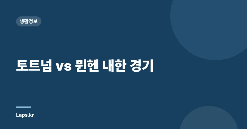토트넘 vs 뮌헨 내한 경기