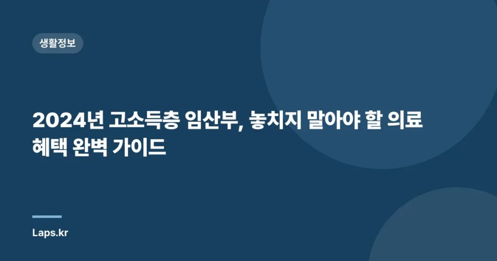 2024년 고소득층 임산부, 놓치지 말아야 할 의료혜택 완벽 가이드