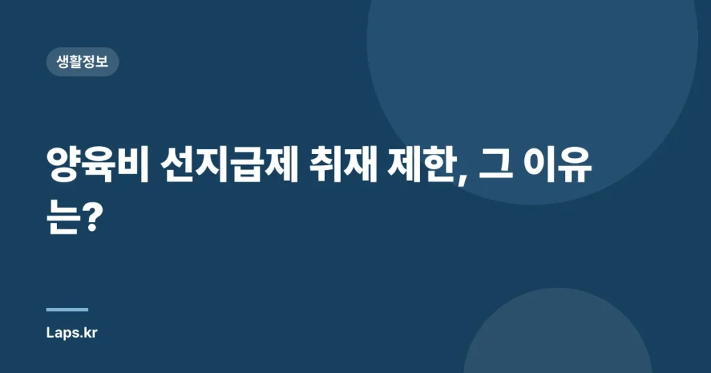 양육비 선지급제 취재 제한, 그 이유는?