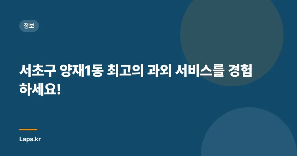 서초구 양재1동 최고의 과외 서비스를 경험하세요!