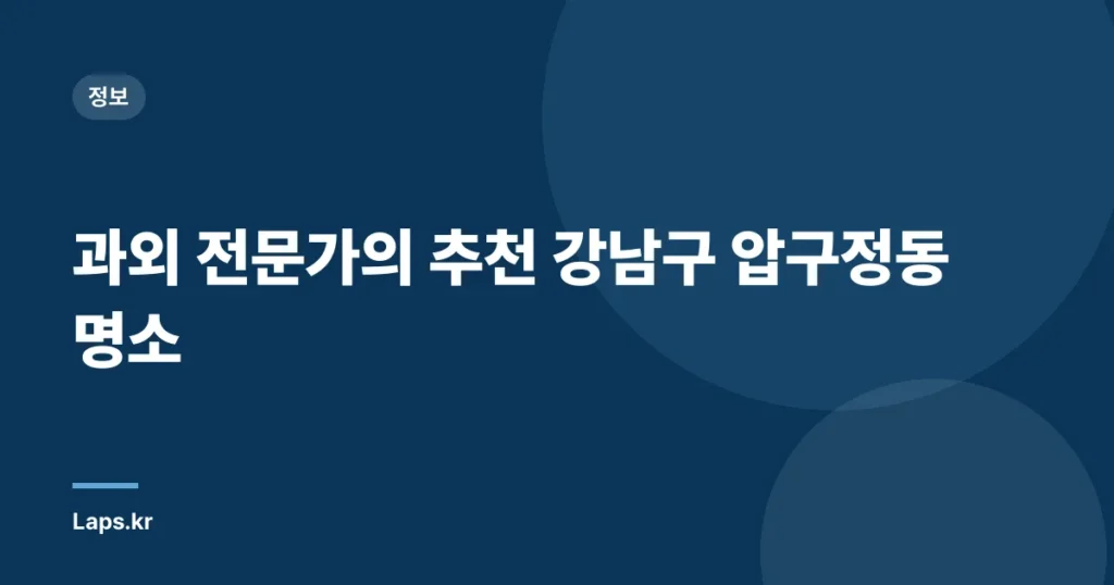 과외 전문가의 추천 – 강남구 압구정동 명소