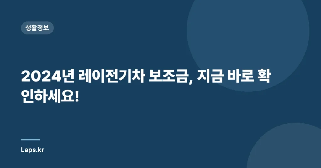 2024년 레이전기차 보조금, 지금 바로 확인하세요!