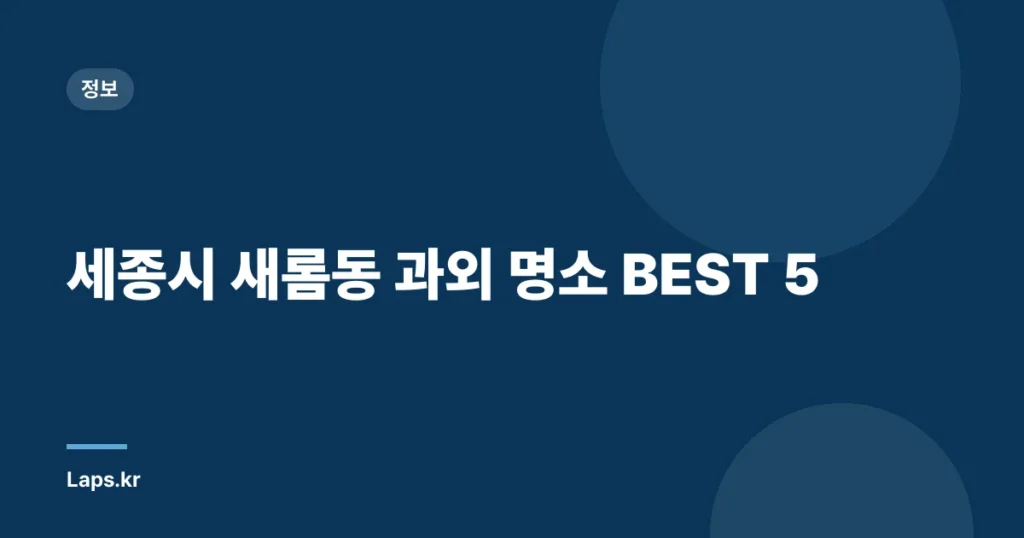 세종시 새롬동 과외 명소 BEST 5