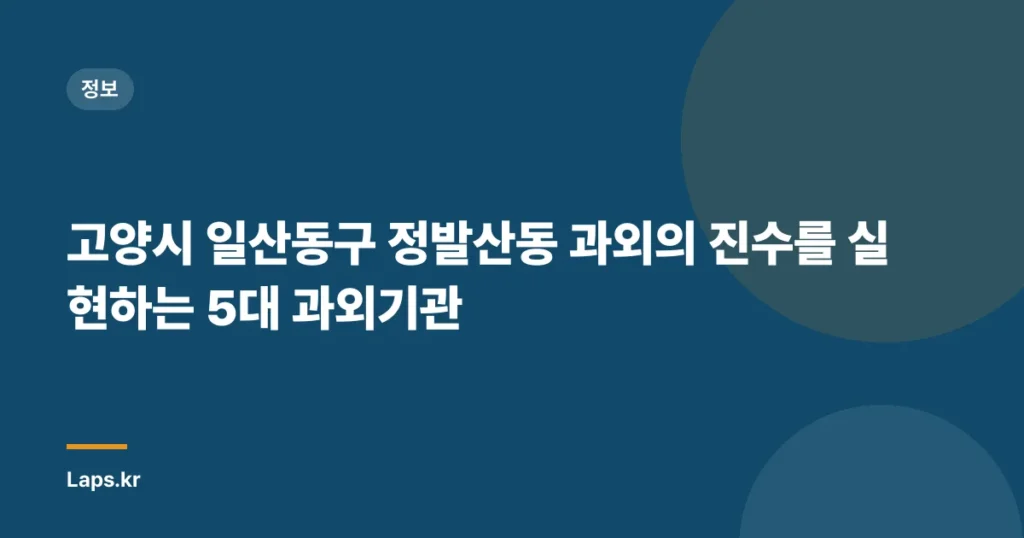 고양시 일산동구 정발산동 과외의 진수를 실현하는 5대 과외기관
